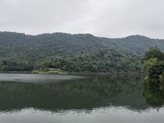 -桃花岭景区
