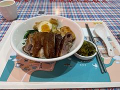 金奖卤鹅肉饭-陈鹏鹏潮汕菜(宝安机场T3航站楼店)