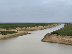 -鄱阳湖国家湿地公园