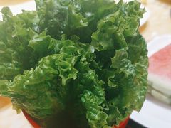 -清真军邺·金富苑肥牛(石坡街旗舰店)