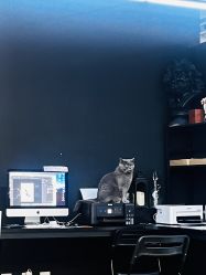 -飛凡TATTOO纹身•原创