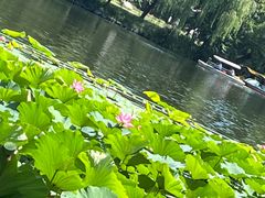 -承德避暑山庄景区