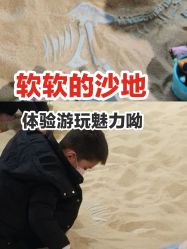 -恐龙探索乐园(磁器口店)