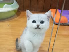 -龟与熊猫宠物公园(南坪店)