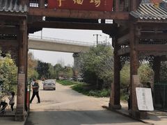 -秀丽东方