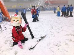 -绍兴启迪乔波冰雪世界