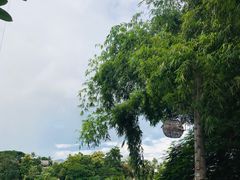 -乌托邦酒吧和餐厅