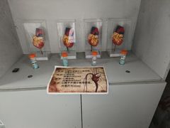 -Xcape异时刻密室逃脱魔法互动(瑞虹天地太阳宫店)