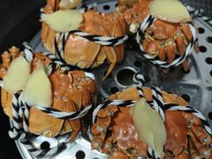 -七的湖·晚芳亭·阳澄湖农家菜·大闸蟹(莲花岛店)