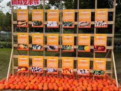 -上海月湖雕塑公园