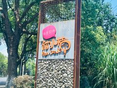 -前小桔亲子创意农场·草莓采摘·露营烧烤