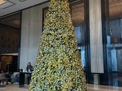 -Yan Ting宴庭中餐厅-长沙瑞吉酒店(运达店)
