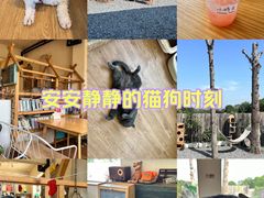 -小时光咖啡馆(开森度假森林店)