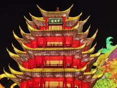 -武汉园博园(武汉自然博物馆)