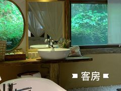 -芦沟竹海
