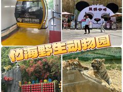 -栾川竹海野生动物园