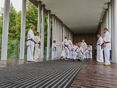 -极真空手道修远道场