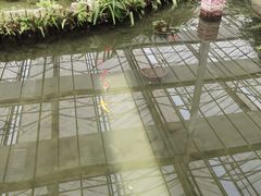 -上海鲜花港