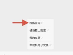 -上海机场-城市航站楼