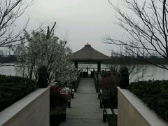 -苏州湾王焰温泉度假酒店