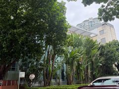 -棕榈泉国际高尔夫学院