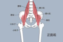 -归位瑜伽&归位普拉提