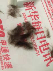 -龙文宝贝上门婴儿理发满月剃胎毛(总店)
