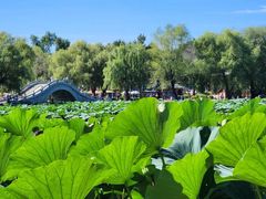 -长春市南湖公园