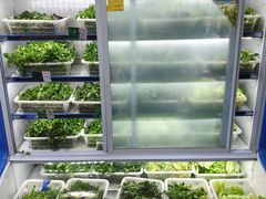 -黔府豆米火锅野菜馆(南马店)