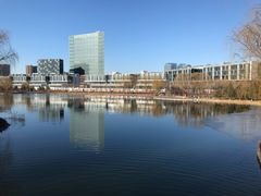 -大兴滨河森林公园