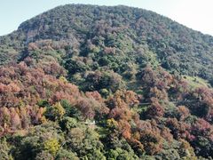 -广州市石门国家森林公园