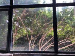 -馨月汇·独栋月子中心(南山店)