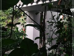 -滕头生态酒店(奉化店)