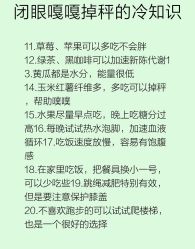 -Fundi张玉珊修身堂·indiba·BTL科技瘦身