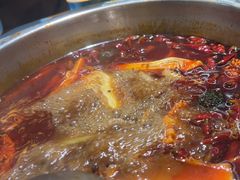 -金鼎雪山牦牛杂火锅(理县总店)