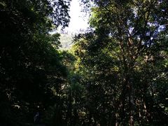 -银瓶嘴森林公园