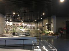 -北京周口店北京人遗址博物馆