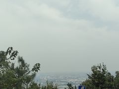 -兴福老面馆(寺路街店)