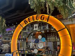 -谢列梅捷沃国际机场