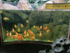 -苏州海洋馆