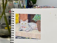 -青沐画室·专业美术培训
