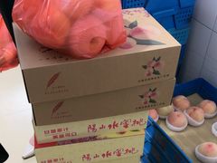 -老袁家蜜桃农场·阳山水蜜桃