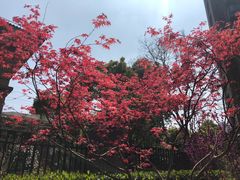 -绿洲雅宾利花园