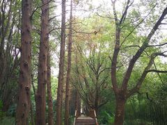 -同里国家湿地公园
