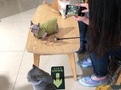 -平行世界·猫咖(首经贸店)