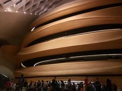 -哈尔滨大剧院