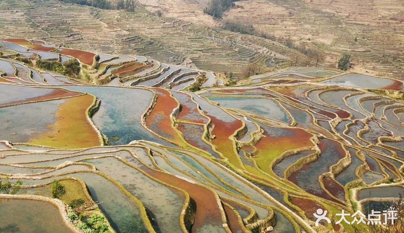 元阳梯田美如画
