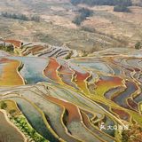 元阳梯田美如画