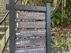 -云南屏边大围山国家公园