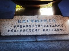 -上海吴淞炮台湾国家湿地公园
